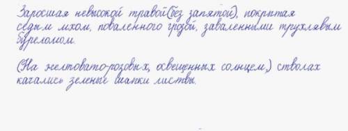 Заросшая невысокой травой дорога... текст найдите ​