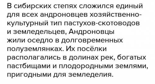 Какое хозяйство было у андроновцев? СОЧ​