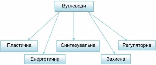 Охарактеризуйте функції вуглеводів.​