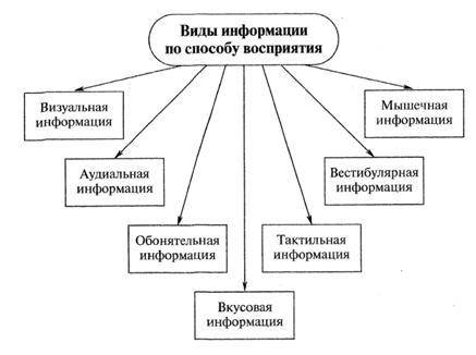 Какие виды информации, по восприятия человеком, вы знаете? Как Может получать человек информацию?​