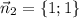 \vec n_2=\{1;1\}