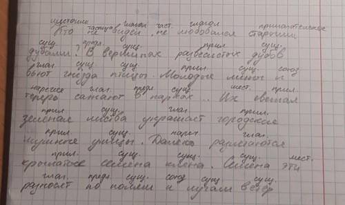 Кто (не)видел, (не) любавался старами дубами? В вершинах развесистых дубов вьют гнезда птицы. Молоды