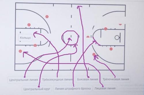 Подпишите все линии разметки, которые Вы знаете.