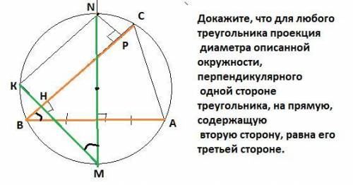 Докажите, что для любого треугольника проекция диаметра описанной окружности, перпендикулярного одно