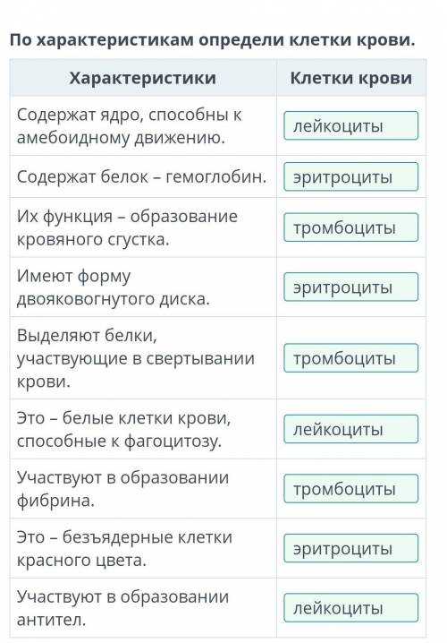 Правильно? По характеристикам определи клетки крови.​