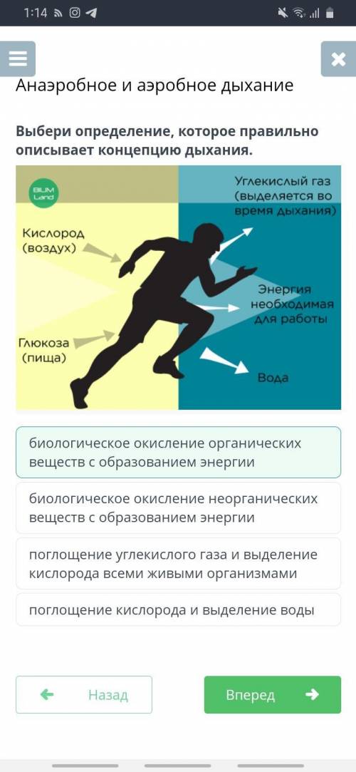 Выбери определение, которое правильно описывает концепцию дыхания. биологическое окисление органичес