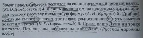 Спишите предложения, расставляя пропущенные знаки препинания. Подчеркните грамматические основы, гра