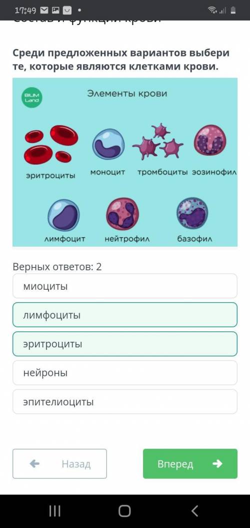 Среди предложенных вариантов выбери те, которые являются клетками крови. Верных ответов: 2 миоциты н
