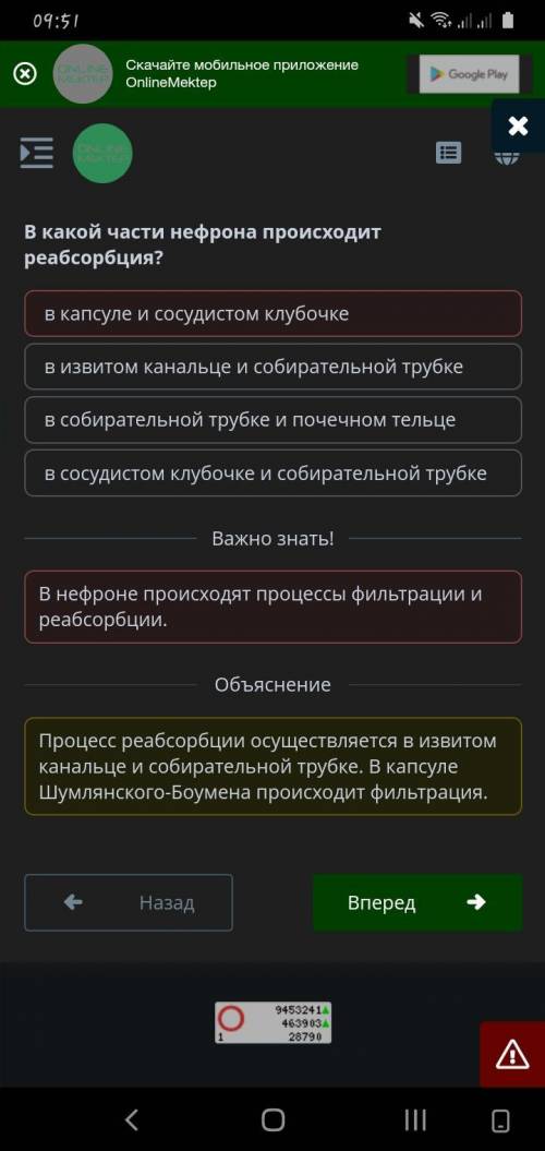 Определи часть нефрона, в которой происходит Реабсорбция (реабсорбция). 1)сосудистые звездочки и тру