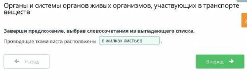 Заверши предложение, выбрав словосочетания из выпадающего списка. Проводящие ткани листа расположены