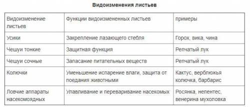 Приведите примы с видоизмененными листьями