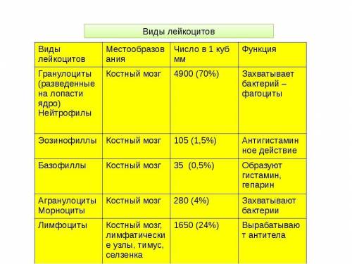 Составьте таблицу: Типы лейкоцитов и их функции