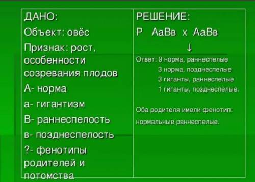 Нормальный рост овса доминирует над гигантизмом, а раннеспелость — над позднеспелостью. При скрещива