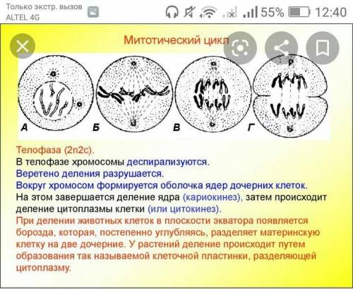 Скажите как сделать это задание