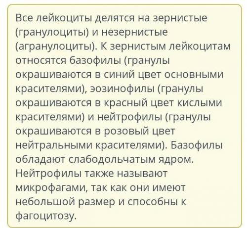 Вставь в текст пропущенные слова, выбрав их из выпадающего списка. Лейкоциты делятся на две группы: