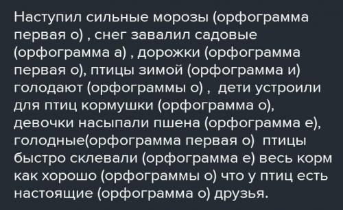 Наступили сильные морозы с ней завалил садовые дорожки птица зимой голодают дети устроили для птиц к