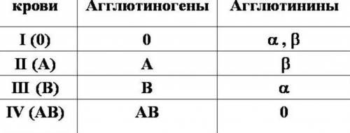 Определи характеристики второй группы крови. 1. В составе эритроцитов имеются агглютиногены типа А.