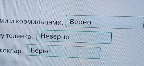 Определи верность утверждений. 1. Кусбеги в народе считали покровителями и кормильцами.2. В игре кок