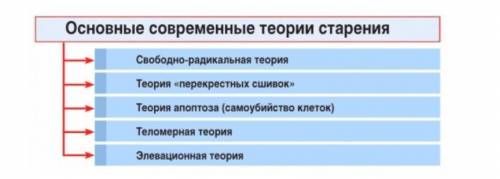 Можно термины и ответ на 5 вопрос даже больше​