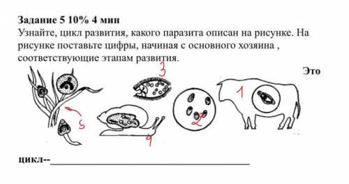 Узнайте, цикл развития, какого паразита описан на рисунке. На рисунке поставьте цифры, начиная с осн