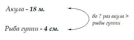 Длина акулы 18м, а длина аквариумной рыбы гуппи 4см. Во сколько раз акула длиннее гуппи?