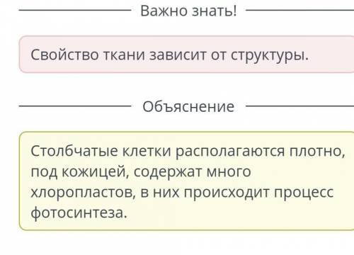 Опредили особенности столбачтой ткани листа из предложенных вариантов.​