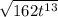 \sqrt{162{t}^{13} }