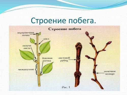 нужно подписать элементы побега