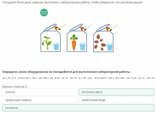 Верных ответов: 2 потометр проросшие семена спички известковая вода источник света