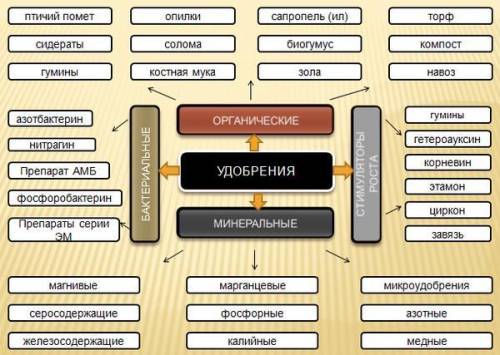 Какие есть виды удобрений и для чего необходим каждый из них❓❓ Скажите