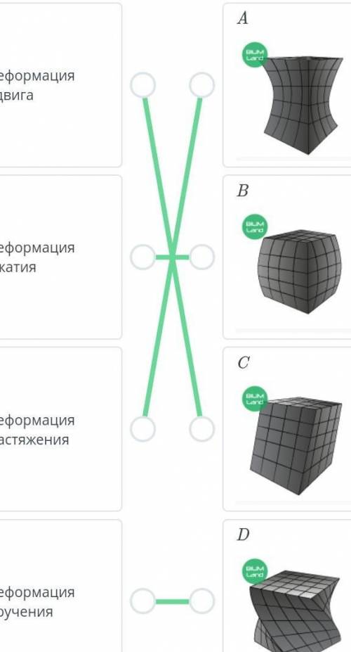 Соотнесите виды деформаций с рисунками​