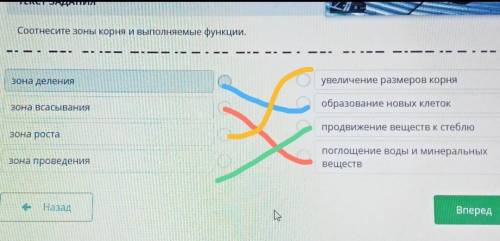 ТЕКСТ ЗАДАНИЯ Соотнесите зоны корня и выполняемые функции.зона деленияо увеличение размеров корняобр