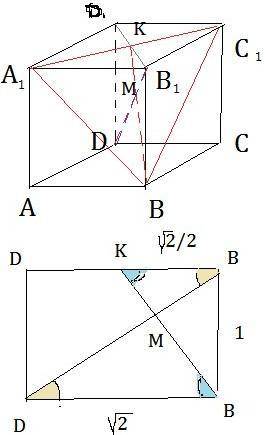 ABCDA1B1C1D1 — куб. Докажите, что прямая AC перпендикулярна к плоскости, которая проходит через точк