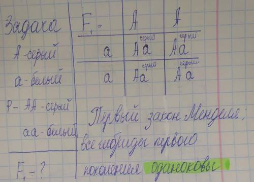 Кто это знает Завтра семестровая по биологии. Объясните ,в кратце, как решать генетические задачи на