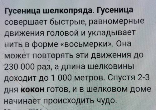 Как гусеницы шелкопряда плетут коконы​