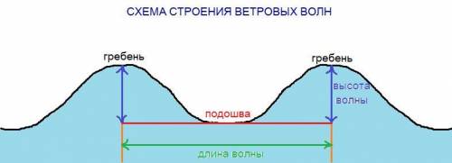 Нарисуй схему строения ветровой волн через 15 мин здовать умоляю​