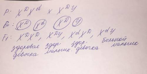 У здоровых по цветному зрению родителей родился мальчик дальтоник. Определите генотипы родителей, а