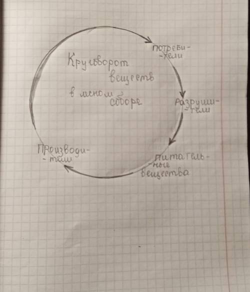 4. Нарисуй схему круговорота веществ на лугу. Возьми за образец схему круговорота веществ в лесном с