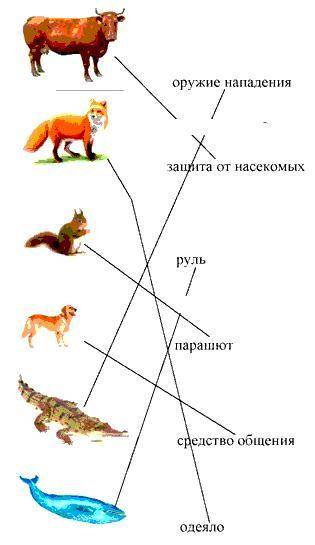 Соедини линией изображения животного и соответствующего растения.Свой выбор обоснуй.Расскажи о взаим