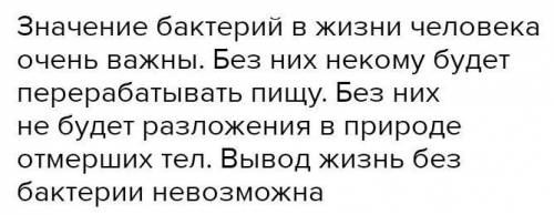 Виды бактерий значение Как заполнить и чтонужно делать?