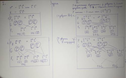 Решите задачу. Отец имеет 2 группу крови, мать - 4. Девушка вышла замуж за юношу, который имеет 3 гр