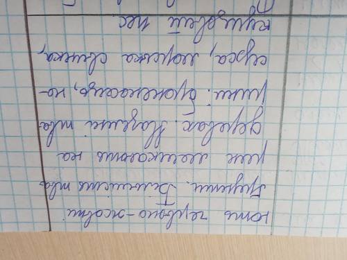 Коротка характеристика вологих екваторіальних лісів