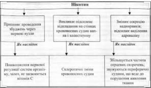 Складі схему шкідливий вплив алкоголю на обмін речовин в організмі людини ​