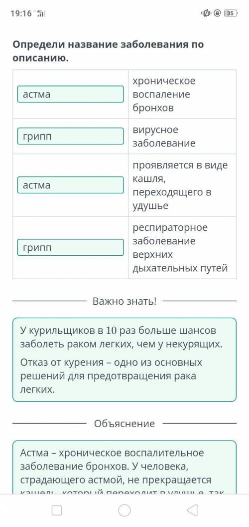 Заболевания органов дыхания. Причины и профилактика заболеваний органов дыхания Определи название за