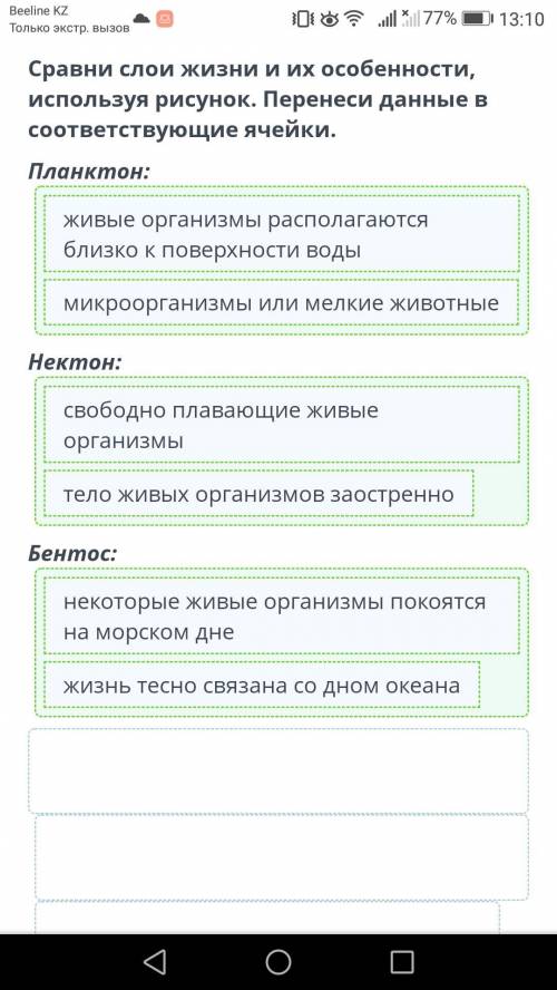 Органический мир океанов Сравни слои жизни и их особенности, используя рисунок. Перенеси данные в со