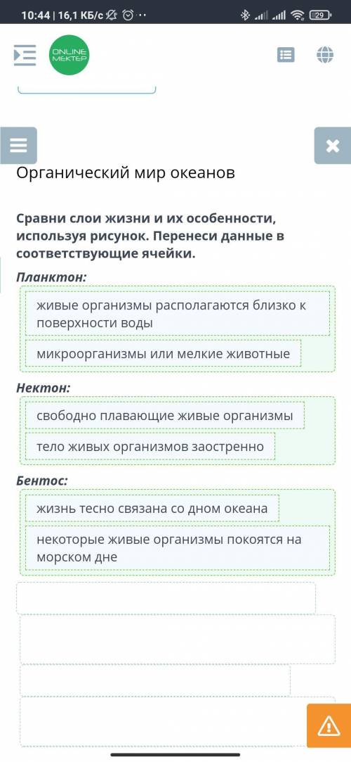 Органический мир океанов Сравни слои жизни и их особенности, используя рисунок. Перенеси данные в со