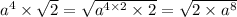 {a}^{4} \times \sqrt{2} = \sqrt{ {a}^{4 \times 2} \times 2 } = \sqrt{2 \times {a}^{8} }