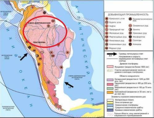 Яка тектонічна структура відповідає амазонській низовині​