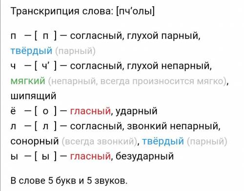 Фонетика слова ночная, пчелы​