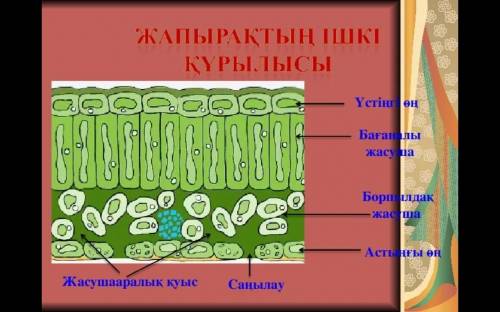 Керек болыптур отыныш комек дай те если зделали поставлю 5звзд и лайкну​